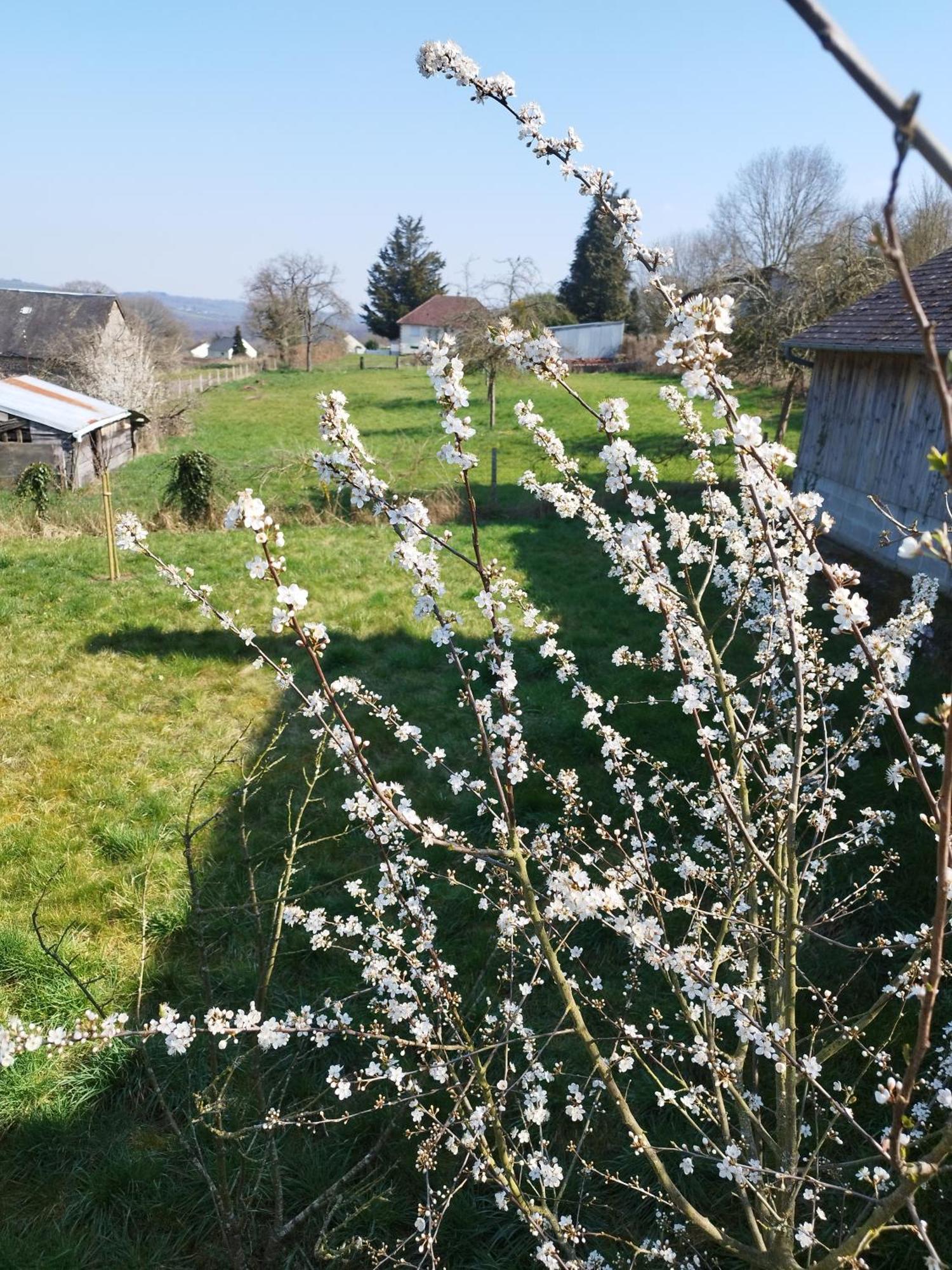 Chalet Des Roches Roche D'Oetre Suisse Normande Villa Saint-Philbert-sur-Orne Dış mekan fotoğraf